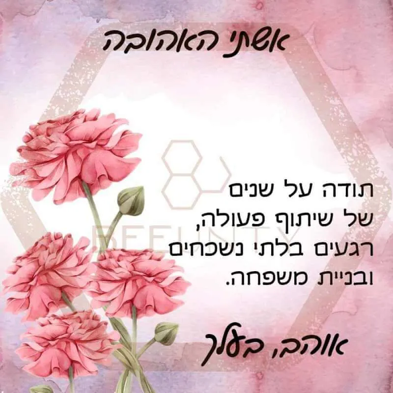 Beeunty ביונטי מתנה ליום הנישואין אשתי האהובה ורוד פרחים.jpg