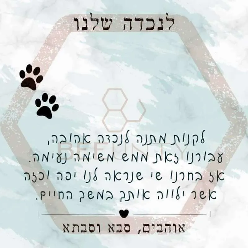 Beeunty ביונטי מתנה לנכדה שלנו חיה.jpg